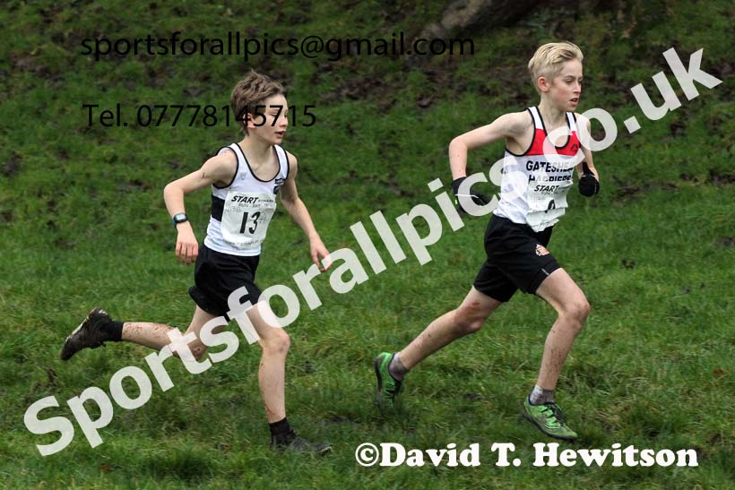 Boys under-13s, NECAA Junior Cross Country Relays, Thornley Farm, Peterlee, Saturday, December 12th. Photo: David T. Hewitson/Sports for All Pics